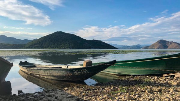 Skadar See per Boot erkunden