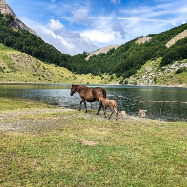 Rikavačko jezero in Montenegro mit traumhafter Landschaft