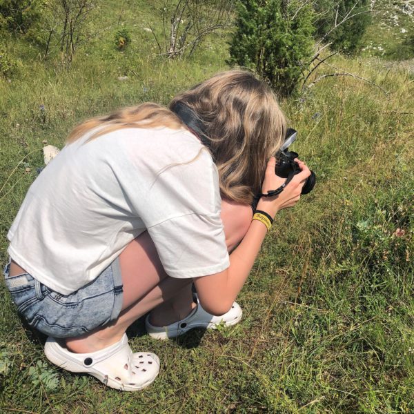 Fokus auf die kleinen Dinge der Natur in den Bergen von Montenegro