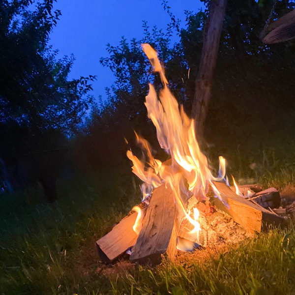 Lagerfeuer im Alpaka Camping